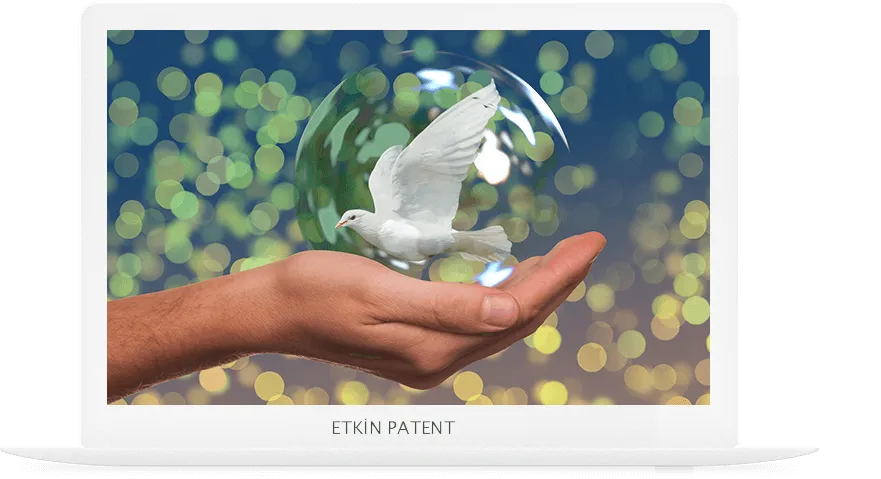 faydalı model on koruma yöntemleri-kars patent